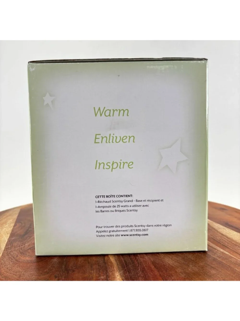 Scentsy Jane Full-Size Warmer Ceramic Wrought Iron Electric Wax w Box - Retired